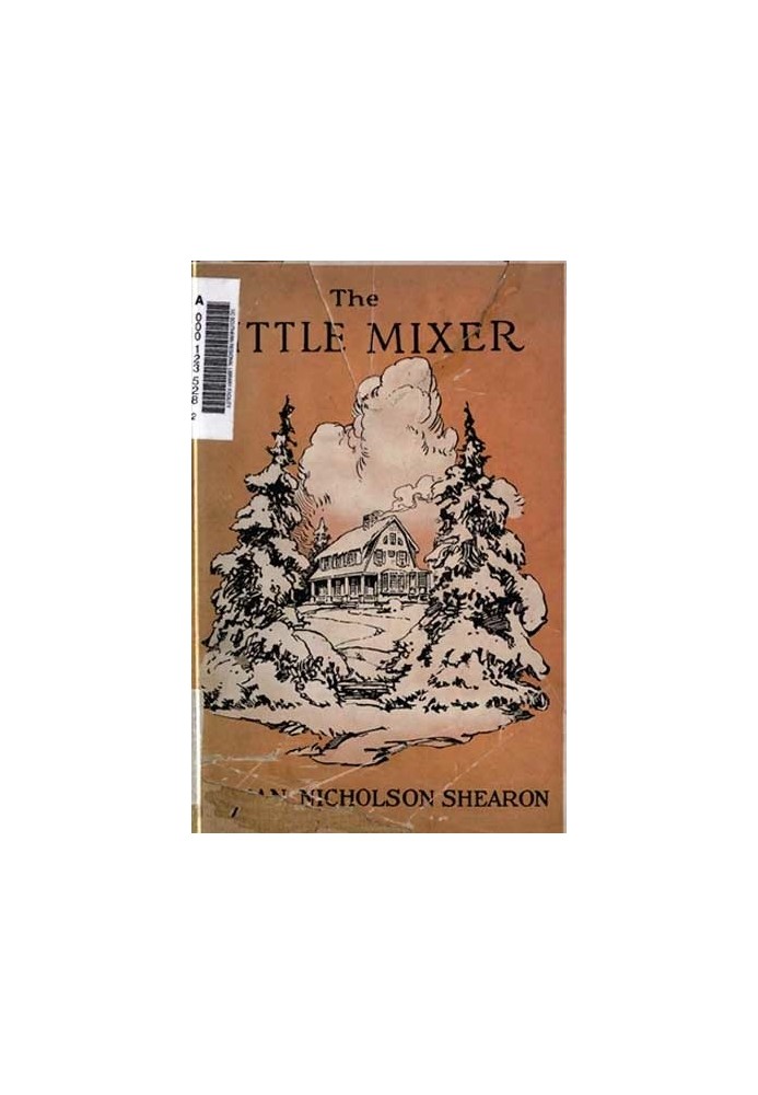 The Little Mixer