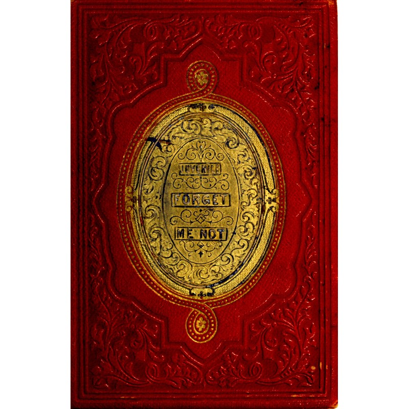 The juvenile forget-me-not...