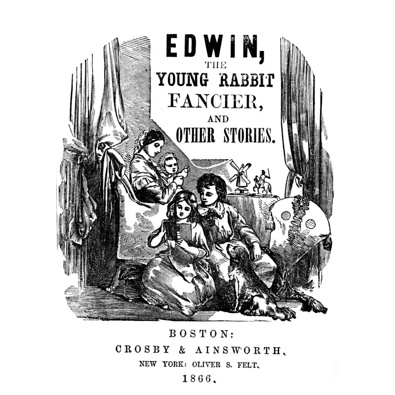 Edwin, the young rabbit...