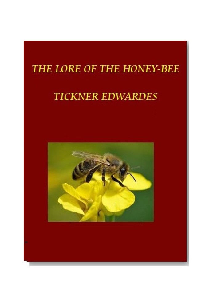 The Lore of the Honey-Bee