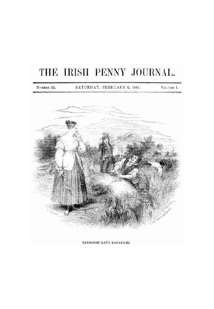 The Irish Penny Journal, Vol. 1 No. 32, February 6, 1841