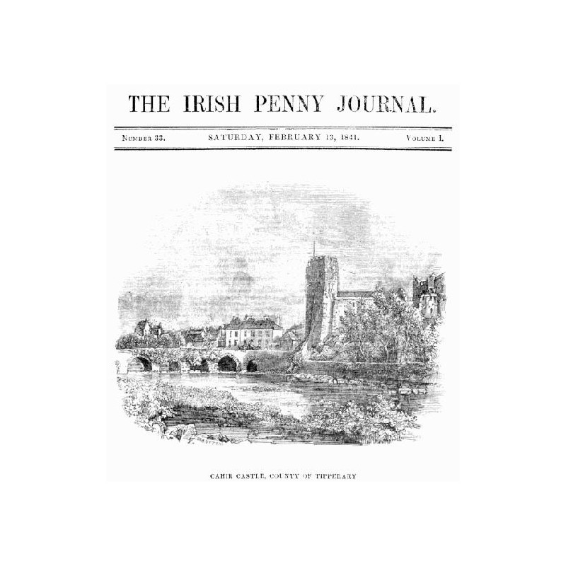 The Irish Penny Journal,...