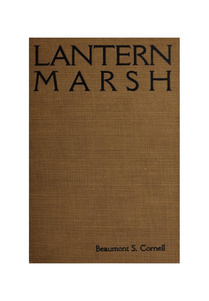 Lantern Marsh