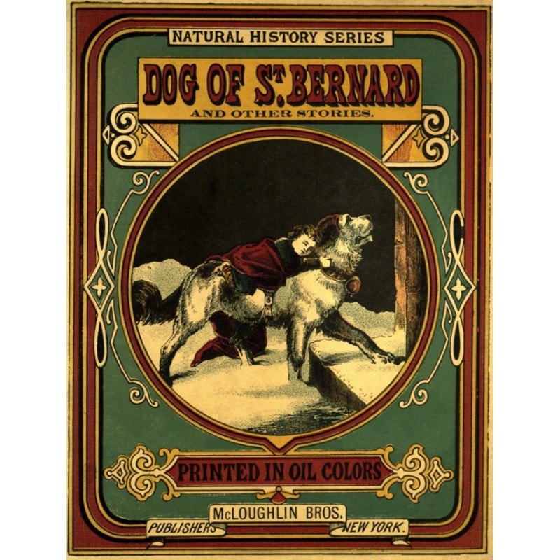 Dog of St. Bernard and...