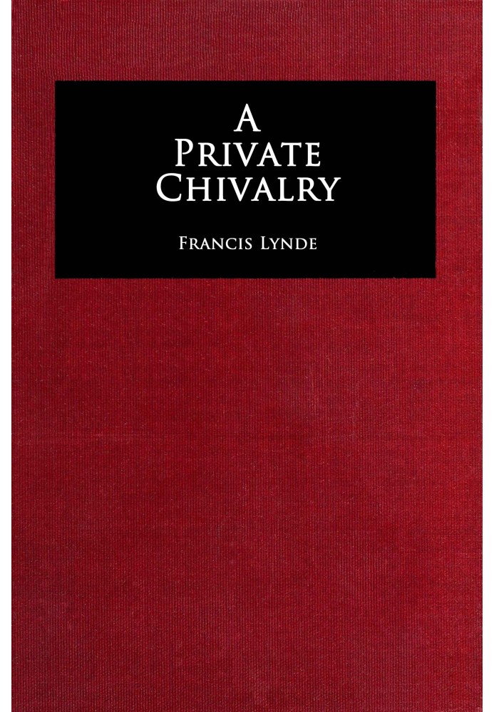 A private chivalry : $b a novel