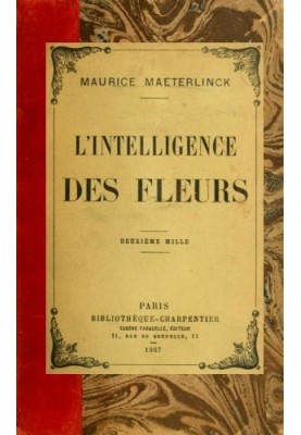 The intelligence of flowers