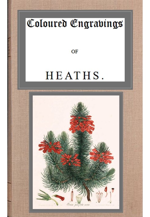 Coloured engravings of heaths; vol. 2