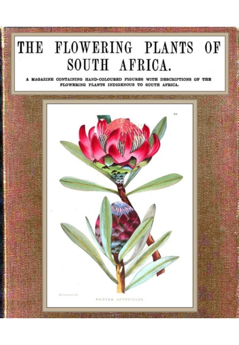 The flowering plants of South Africa; vol. 1