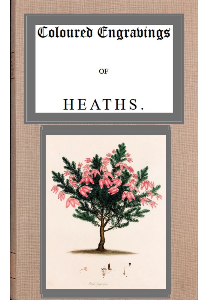 Coloured engravings of heaths; vol. 4