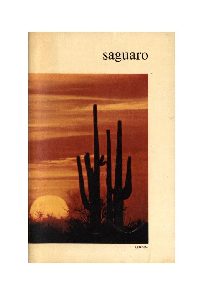 Saguaro National Monument, Arizona