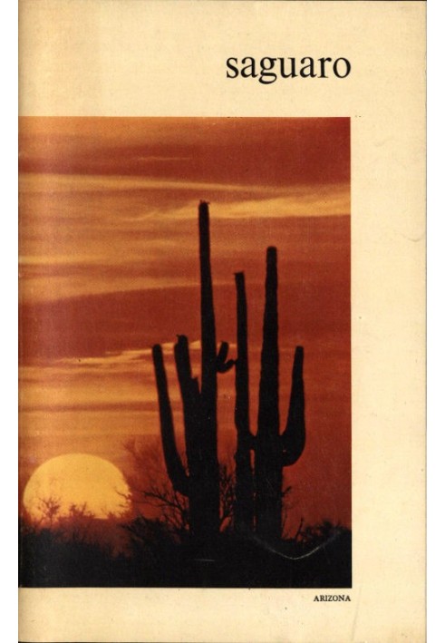 Saguaro National Monument, Arizona