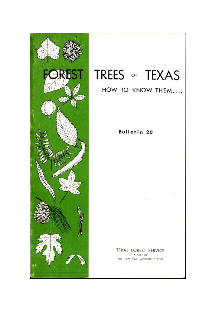 Forest Trees of Texas: How to Know Them