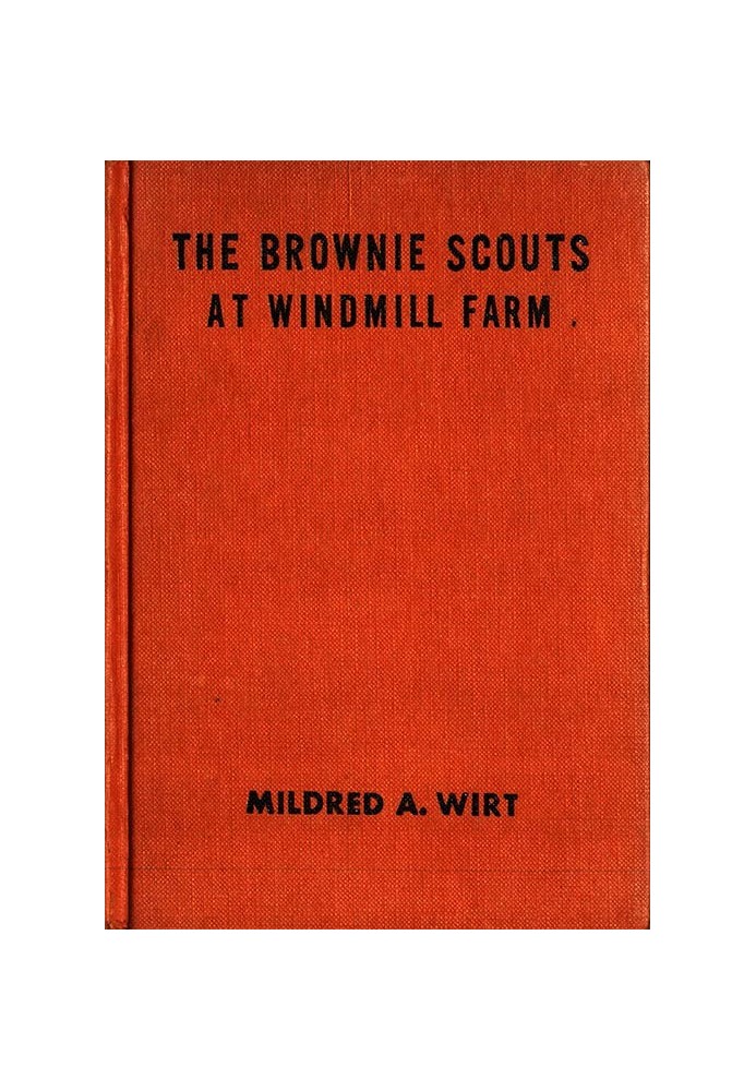 The Brownie Scouts at Windmill Farm