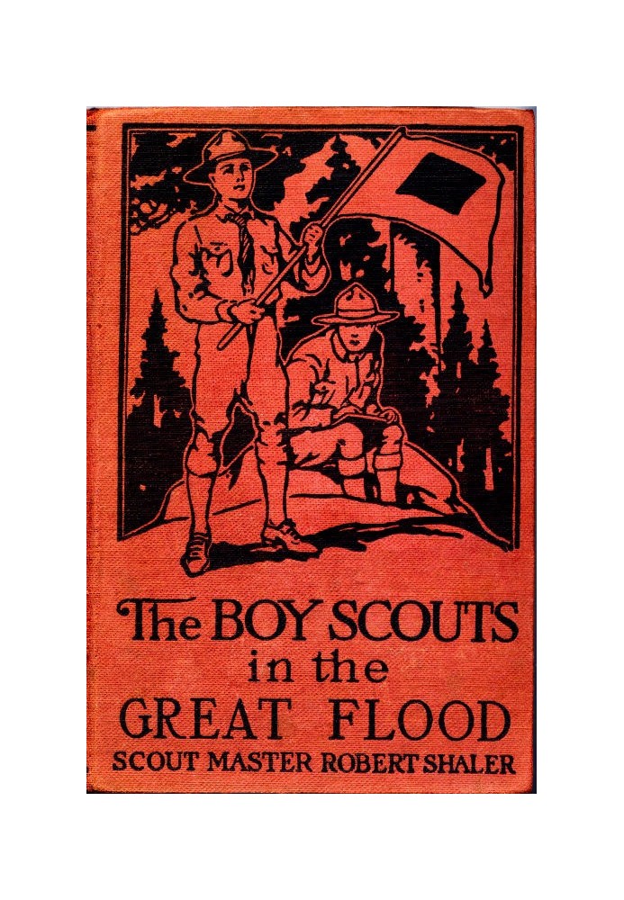 The Boy Scouts in the Great Flood