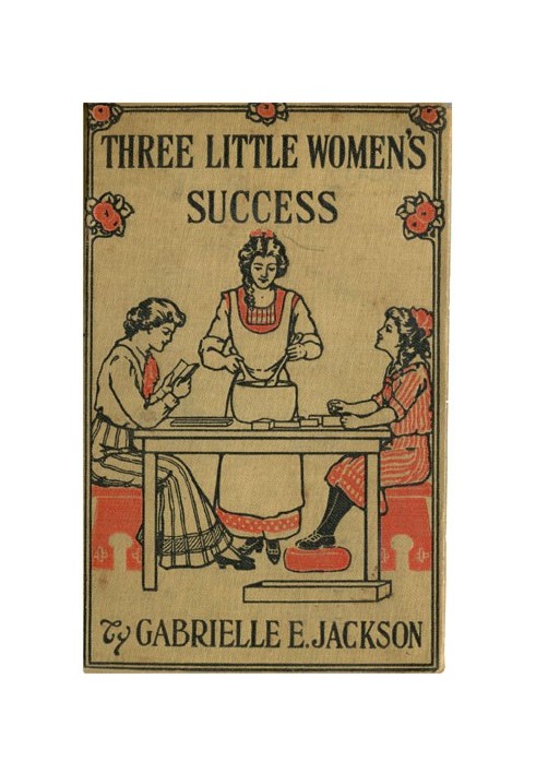 Three Little Women's Success: A Story for Girls