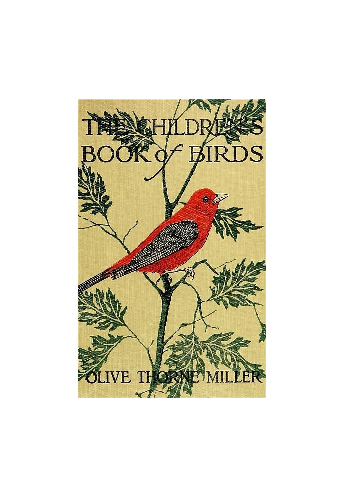 The Children's Book of Birds