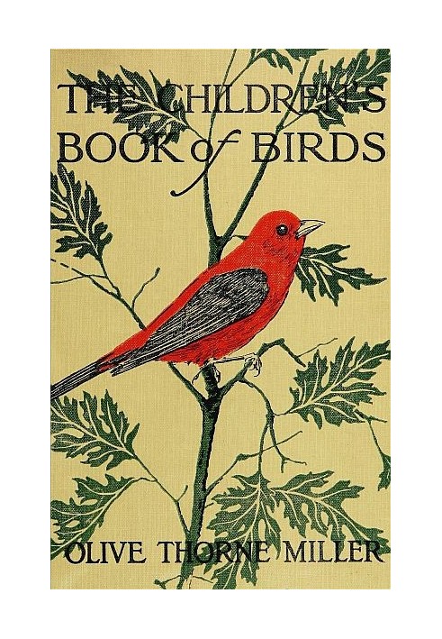 The Children's Book of Birds