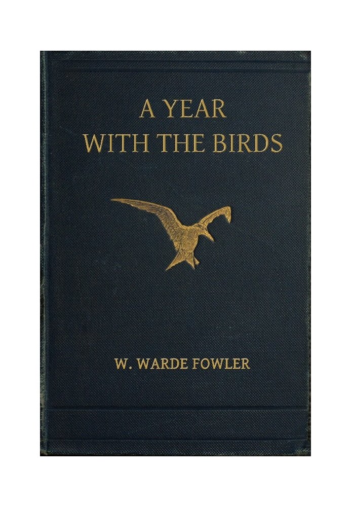 A Year with the Birds Third Edition, Enlarged