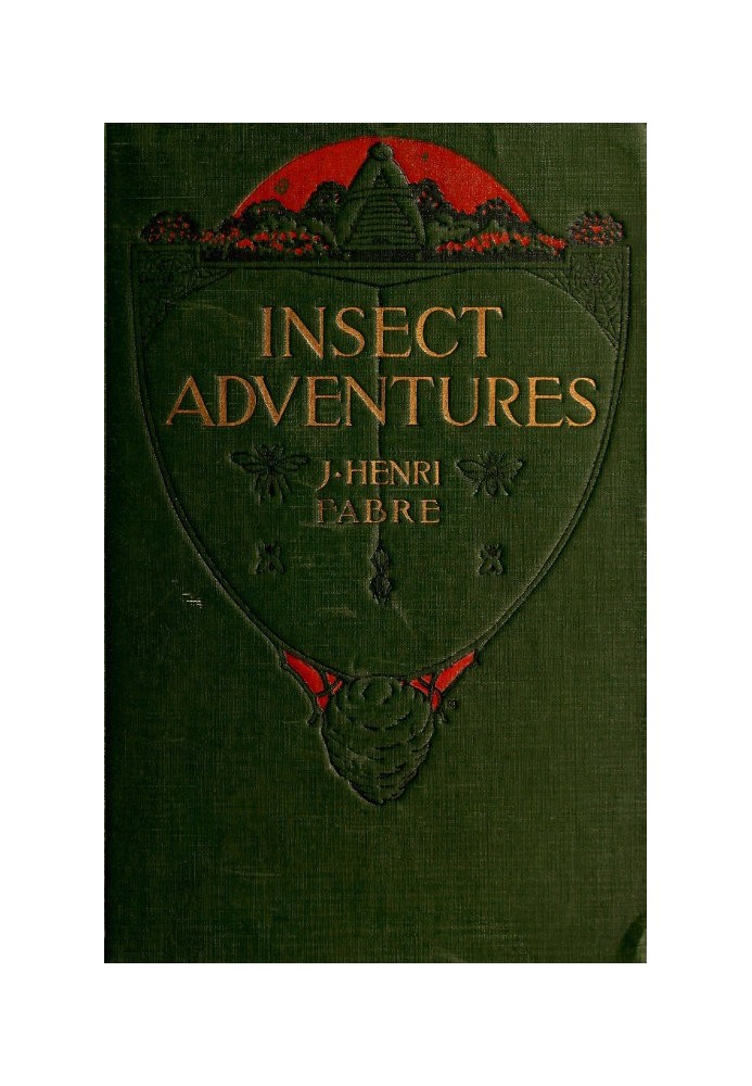 Insect Adventures