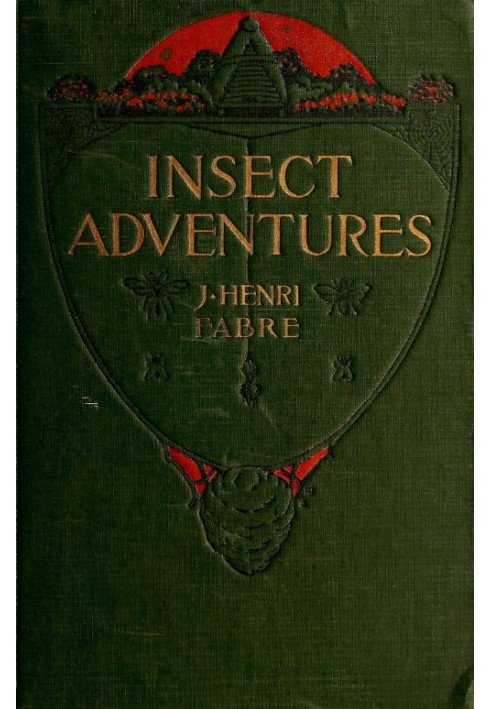 Insect Adventures