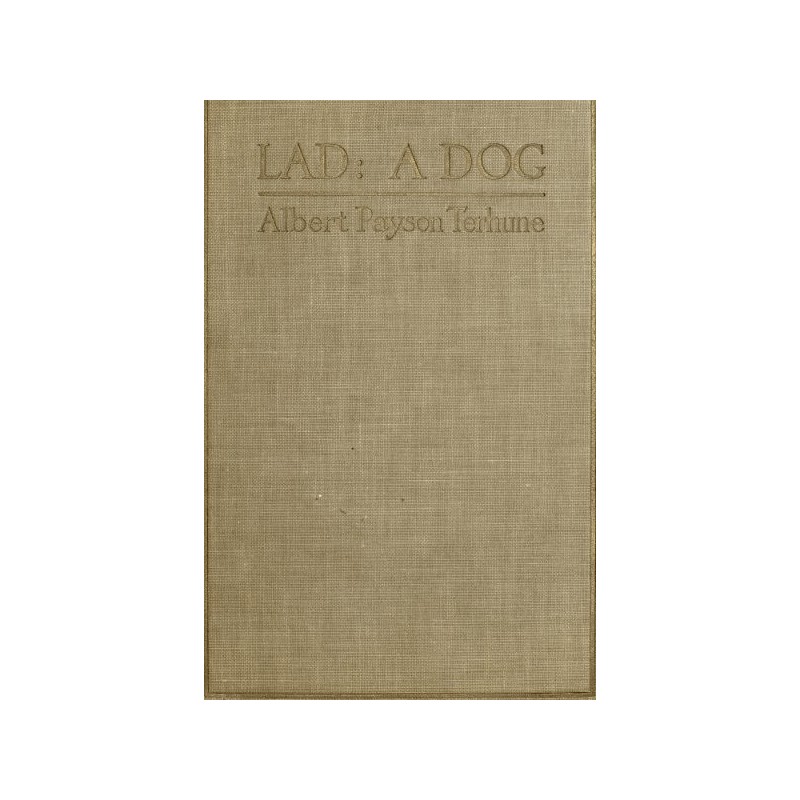 Lad: A Dog