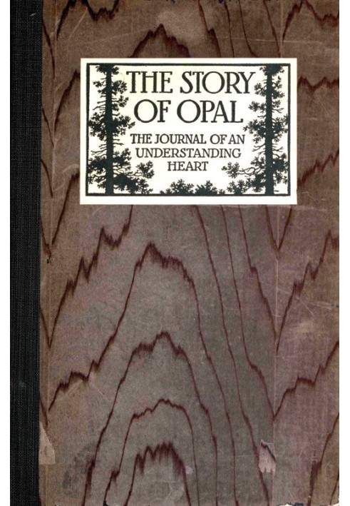 Історія Opal: Журнал розуміючого серця