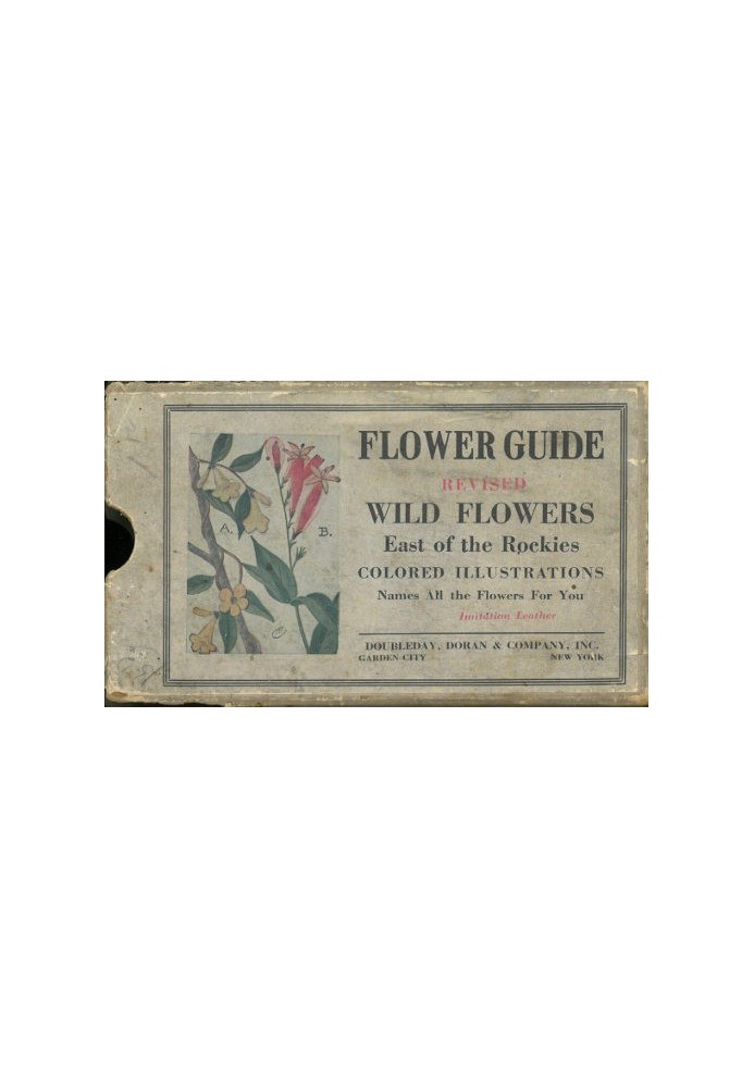 Flower Guide: Wild Flowers East of the Rockies (Revised and with New Illustrations)