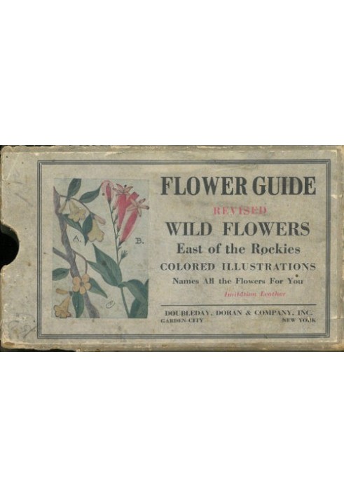 Flower Guide: Wild Flowers East of the Rockies (Revised and with New Illustrations)