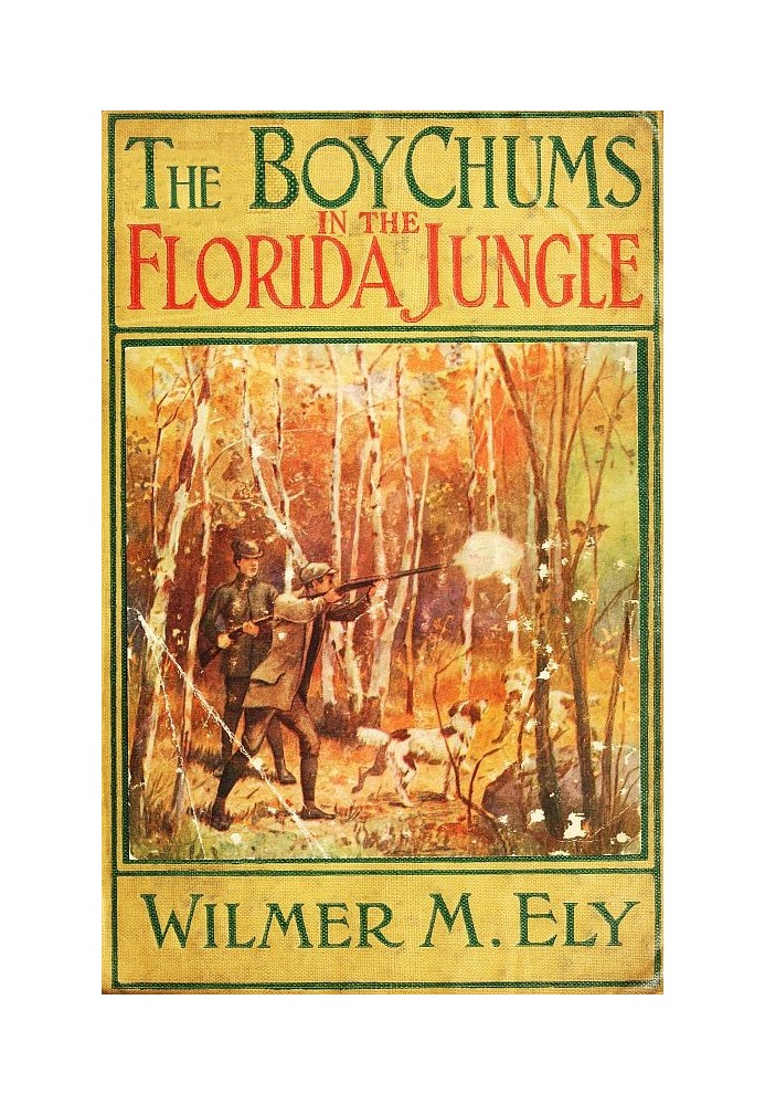 The Boy Chums in the Florida Jungle or, Charlie West and Walter Hazard with the Seminole Indians