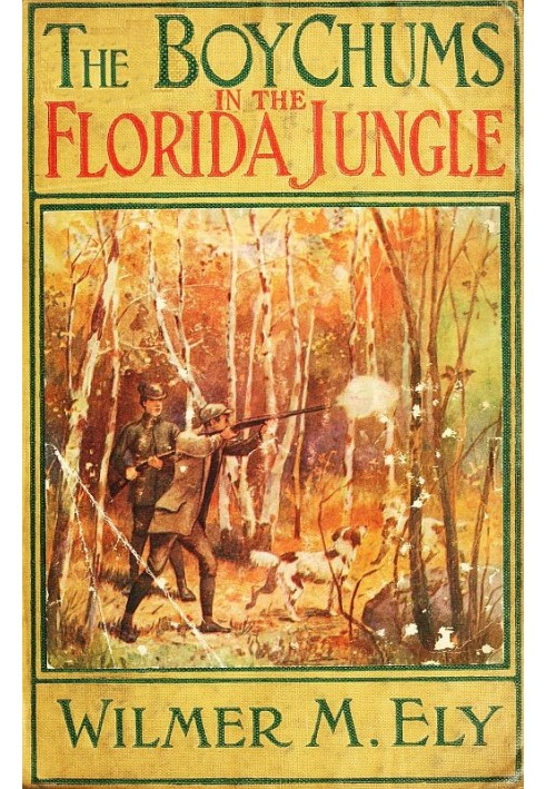 The Boy Chums in the Florida Jungle or, Charlie West and Walter Hazard with the Seminole Indians