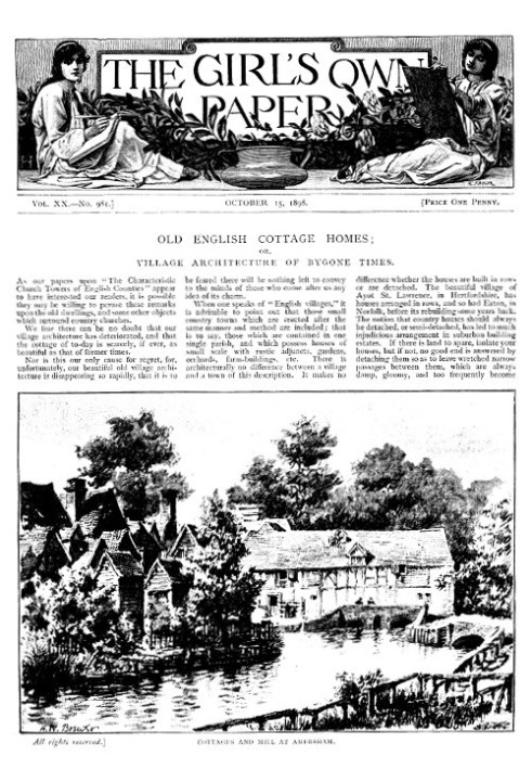 Собственная газета девушки, Vol. XX, № 981, 15 октября 1898 г.