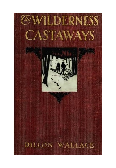 The Wilderness Castaways