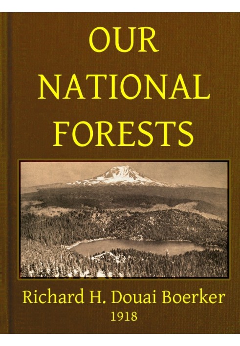 Our National Forests A Short Popular Account of the Work of the United States Forest Service on the National Forests