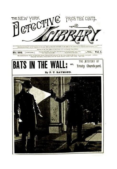 Bats in the Wall; or, The Mystery of Trinity Church-yard