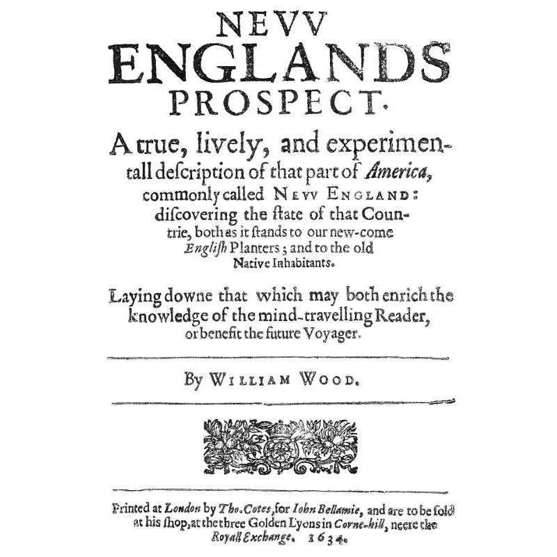 New Englands Prospect A...