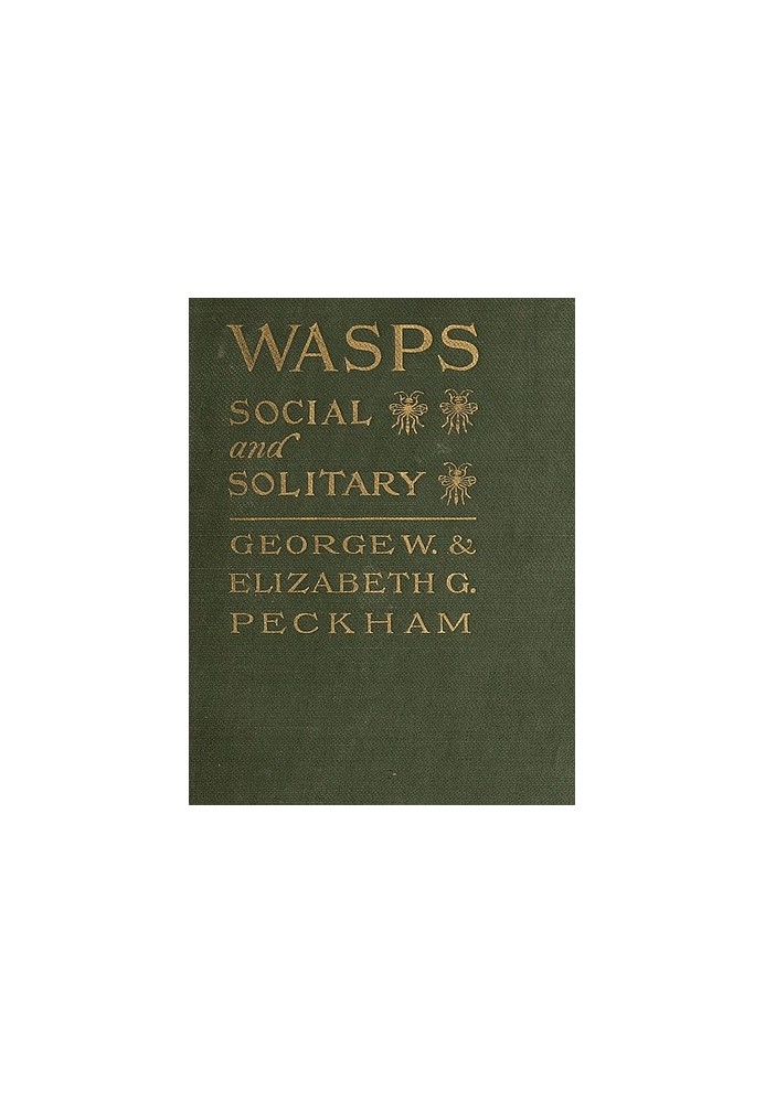 Wasps, Social and Solitary