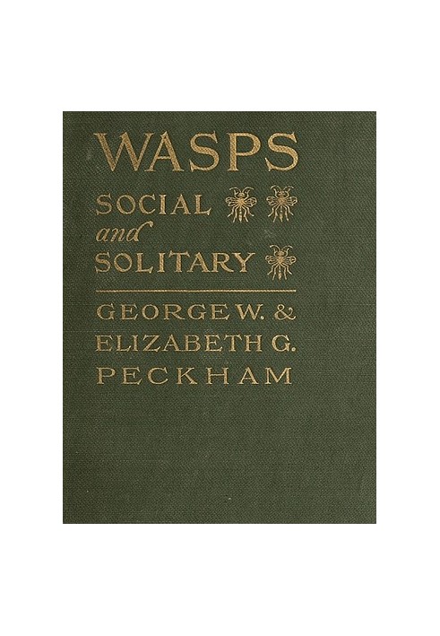 Wasps, Social and Solitary