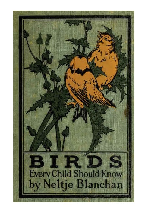 Birds Every Child Should Know