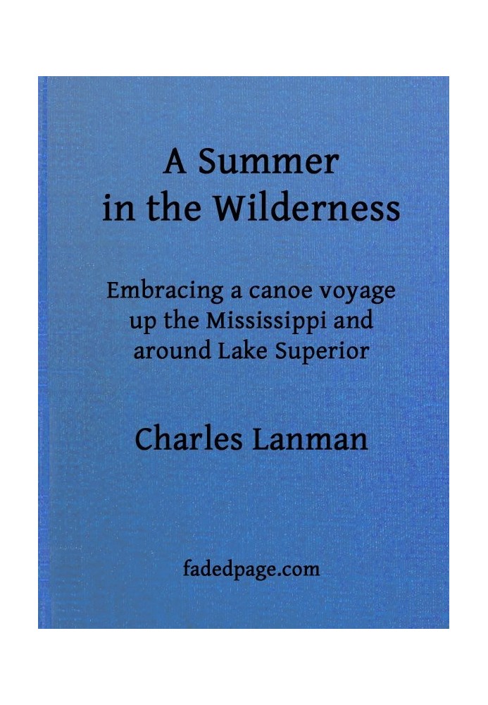 A Summer in the Wilderness embracing a canoe voyage up the Mississippi and around Lake Superior