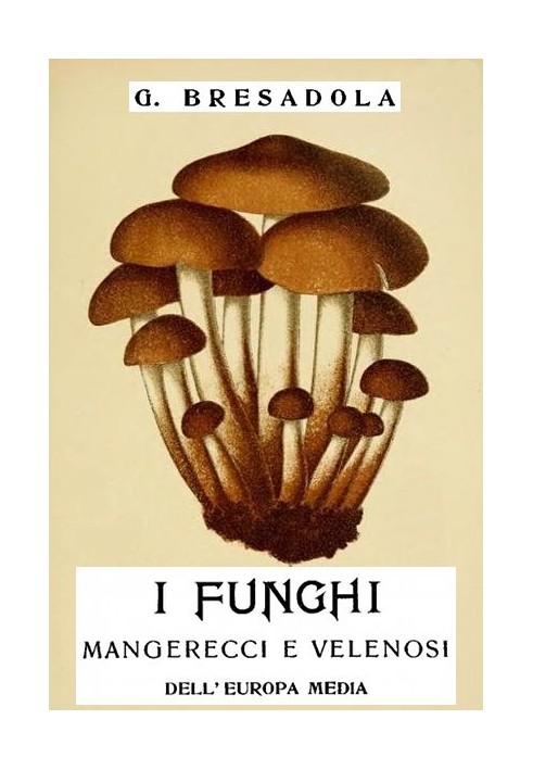 The edible and poisonous mushrooms of Middle Europe with special attention to those growing in Trentino - II revised and augment