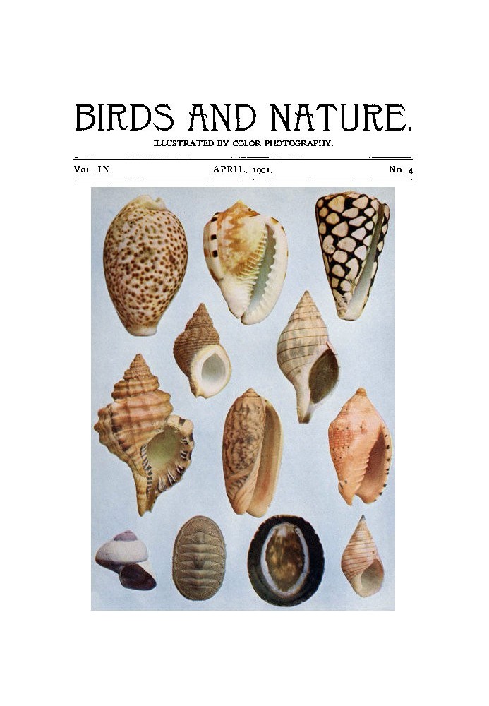 Birds and Nature Vol. 09 No. 4 [April 1901]