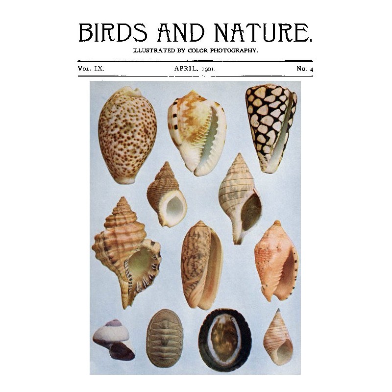 Birds and Nature Vol. 09...