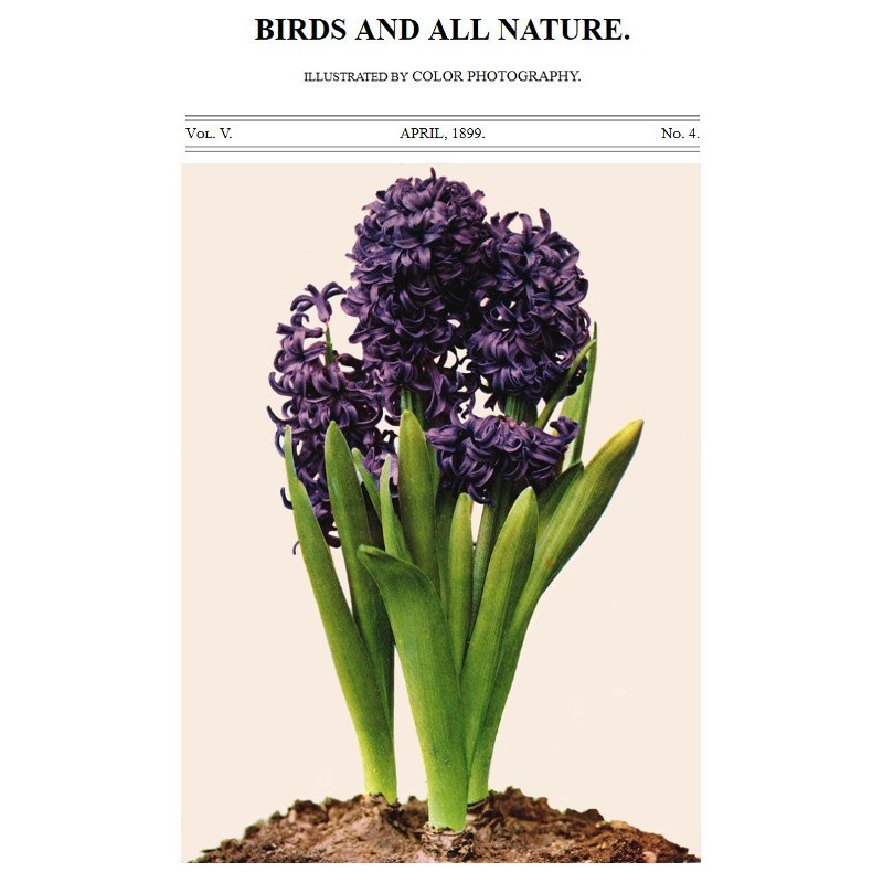 Birds and All Nature, Vol....