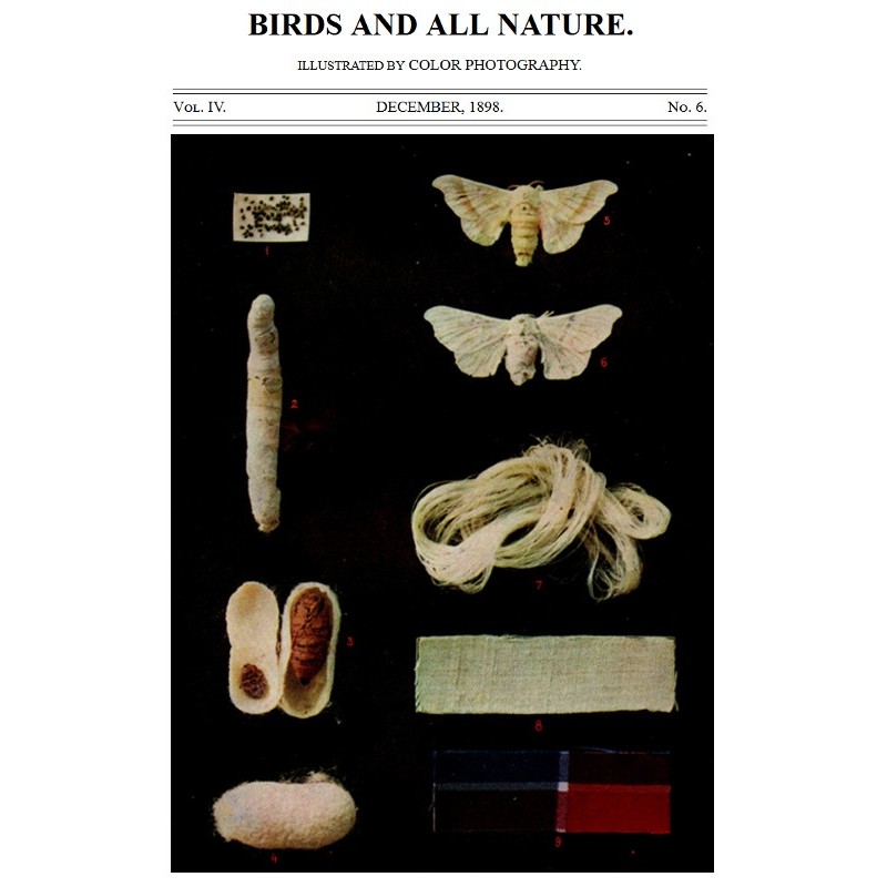 Птицы и вся природа, Том....