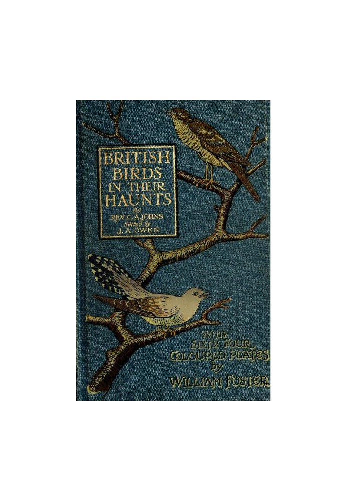 British Birds in Their Haunts