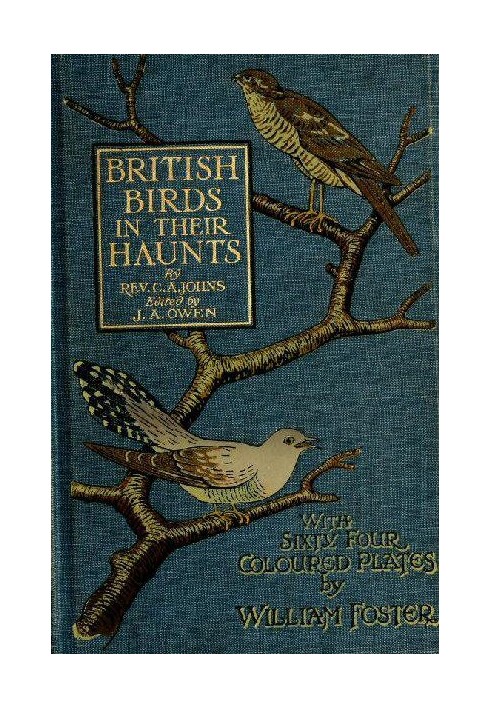 British Birds in Their Haunts