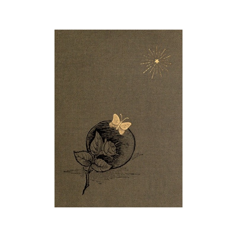 An Ambitious Woman: A Novel