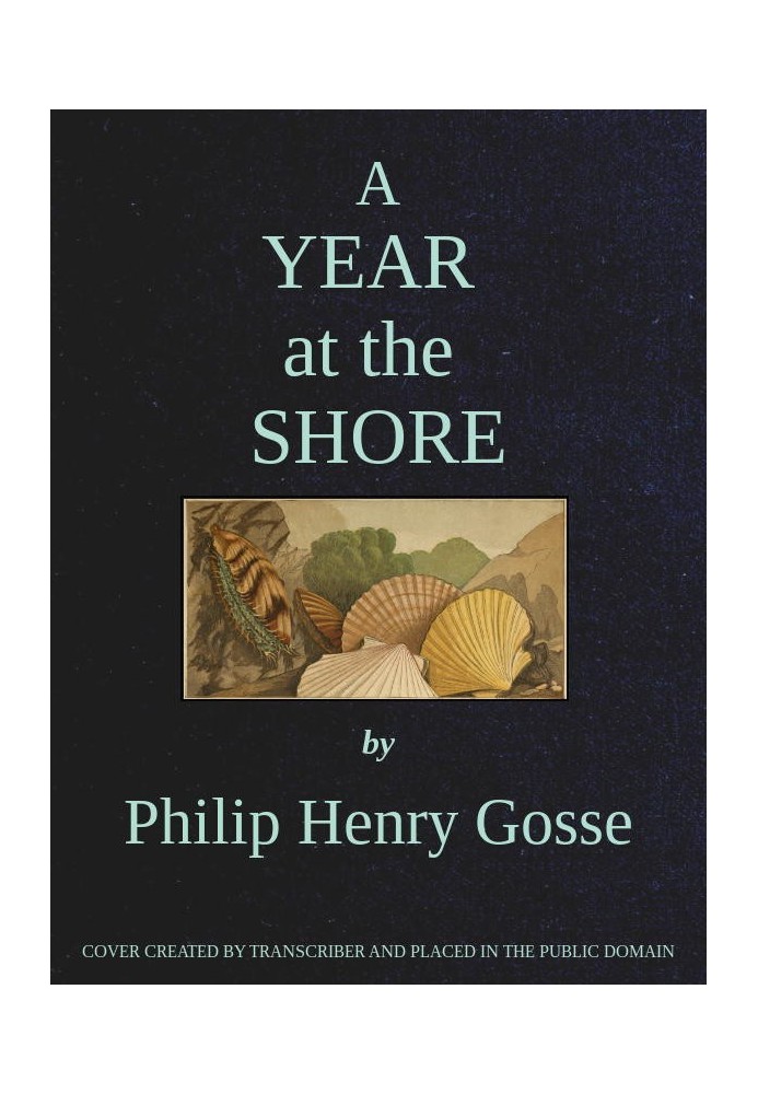 A Year at the Shore