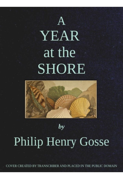 A Year at the Shore