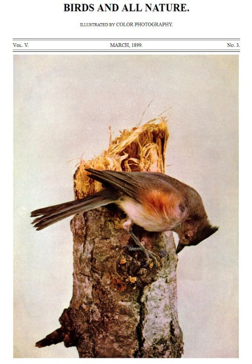 Birds and All Nature, Vol. 5, No. 3, March 1899 Illustrated by Color Photography